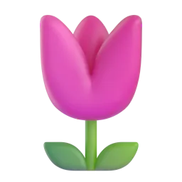 water the flowers