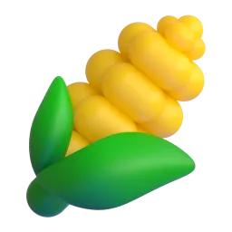 corn