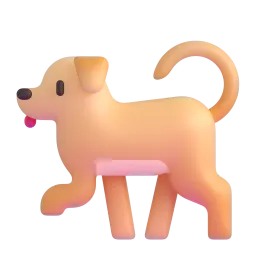 walk the dog