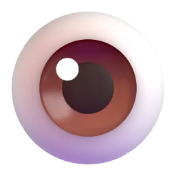 eye