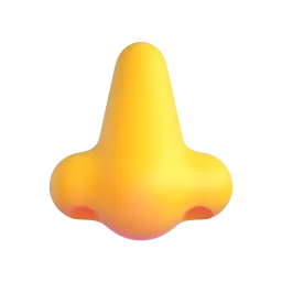 nose