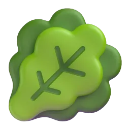 lettuce