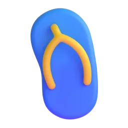 slippers