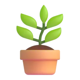 water the plants
